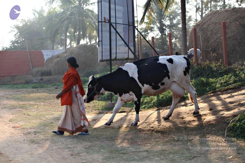 File:20110205 4855 CMP WM watermark.jpg