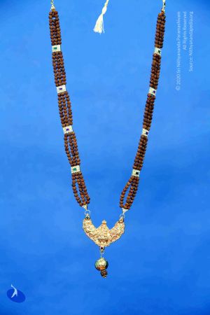 20110218 IMG 7546 CMP WM0001.jpg