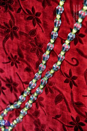 20110218 IMG 7571 CMP WM0001.jpg