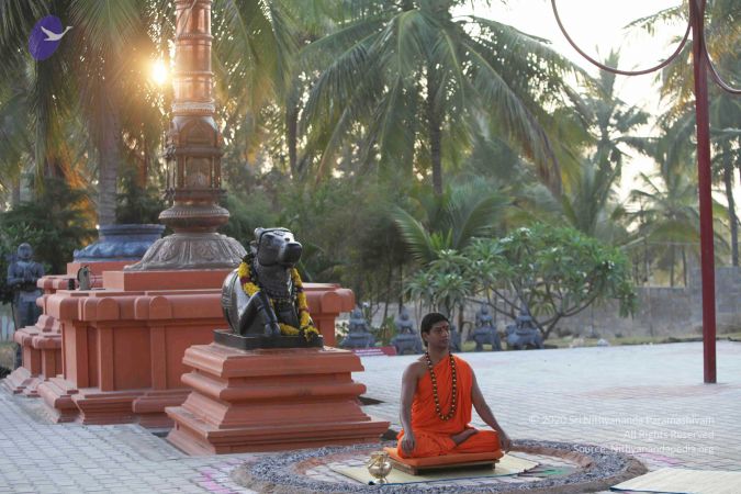 20110223IMG 0009 CMP WM01.jpg