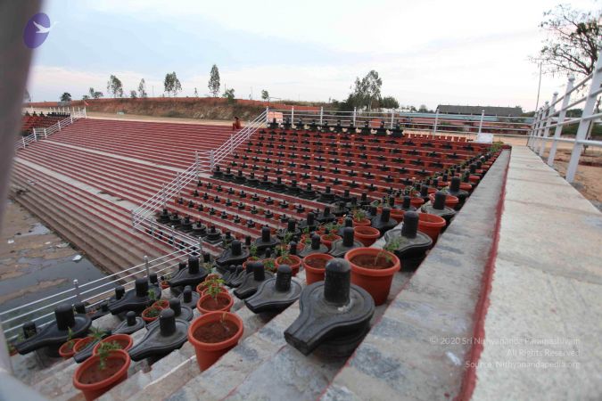 20110223IMG 9896 CMP WM 000010.jpg