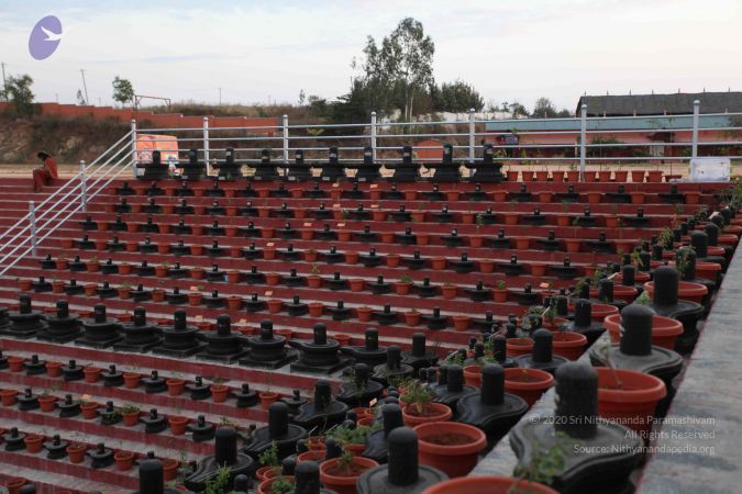 20110223IMG 9897 CMP WM 000010.jpg