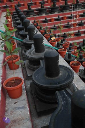 20110223IMG 9908 CMP WM 000010.jpg