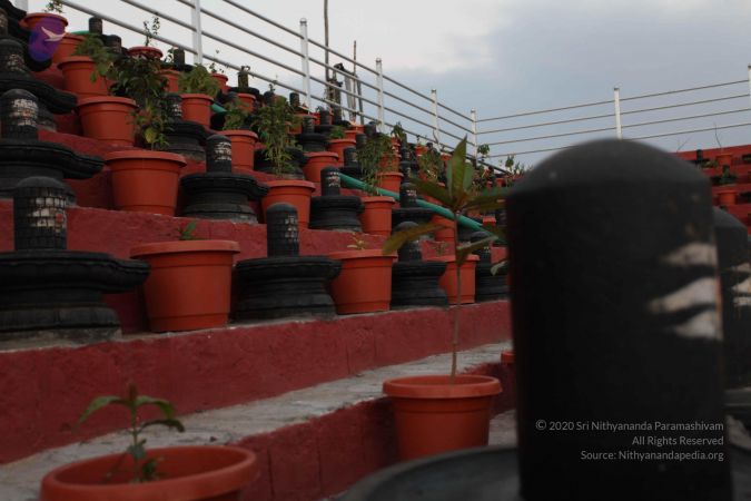 20110223IMG 9910 CMP WM 000010.jpg