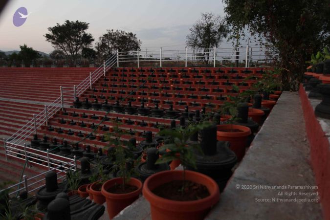 20110223IMG 9919 CMP WM 000010.jpg