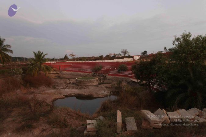 20110223IMG 9930 CMP WM 000010.jpg