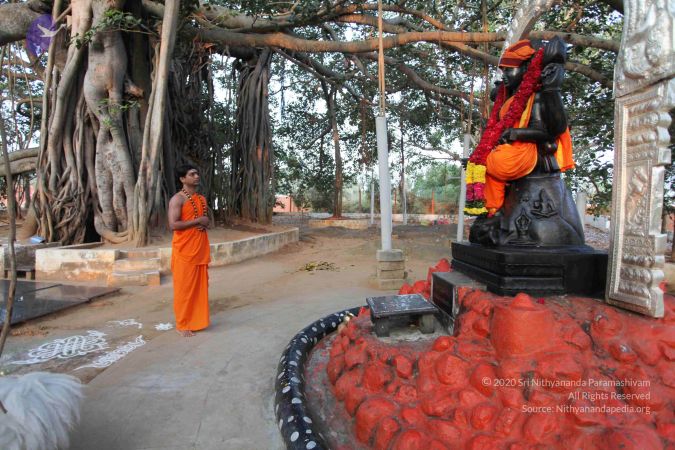 20110223IMG 9962 CMP WM 000010.jpg