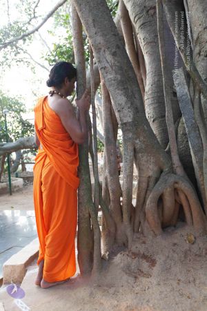 20110223IMG 9964 CMP WM 000010.jpg