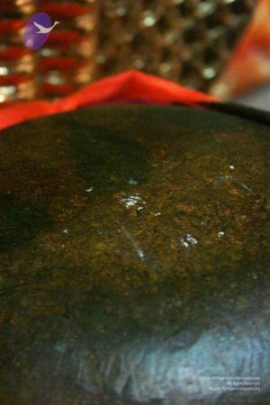 20110227 Photo 1005 1fc3eVYs eXOmpBQYSL4cyYNlf8 eNfpX.JPG