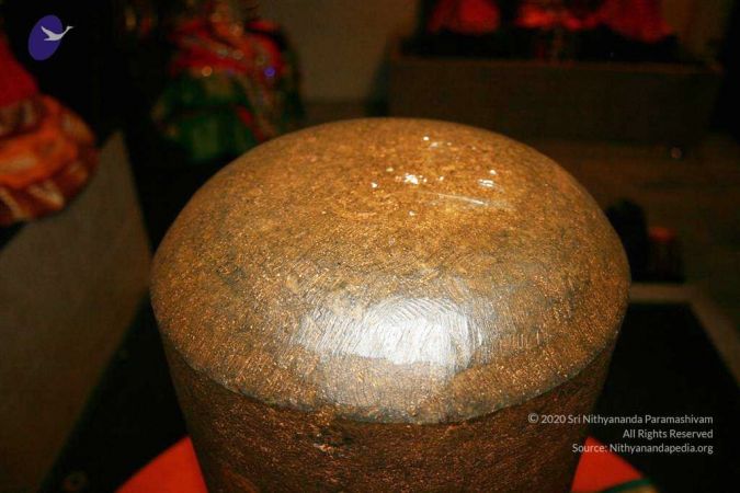 20110227 Photo 1006 1ATH342rFd0PbHQc3DsjDVkTOqrs-xMUw.JPG