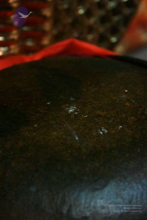 20110227 Photo 1006 1qaUddgAr8vkJ2yvX6TfKUoXgJEQJgmua.JPG