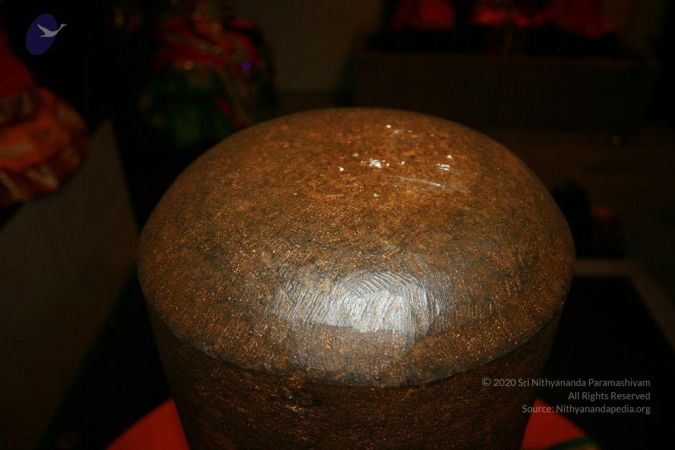 20110227 Photo 1007 1-NP j8prIzThxrkayMEMglknaAlh74ly.JPG