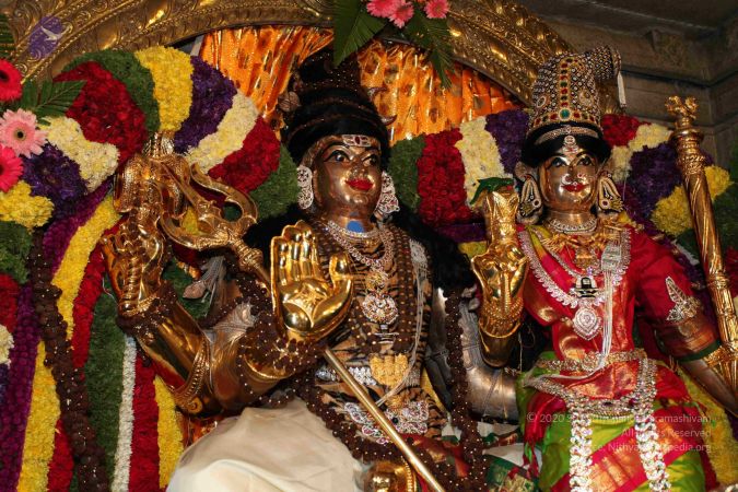 20110303 IMG 0007 CMP WM 0100.jpg