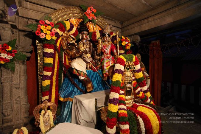 20110303 IMG 0017 CMP WM 0100.jpg