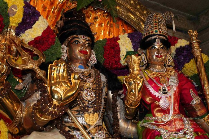 20110303 IMG 0024 CMP WM 0100.jpg