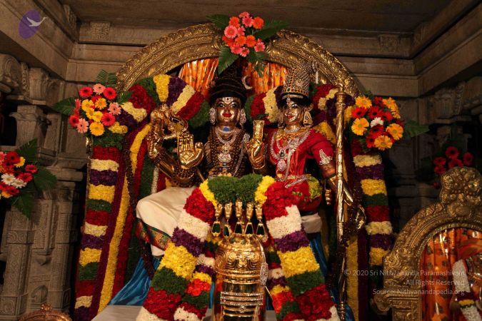 20110303 IMG 0030 CMP WM 0100.jpg