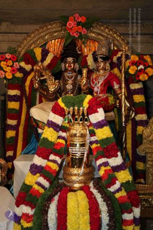 20110303 IMG 0036 CMP WM 0100.jpg