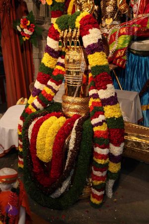 20110303 IMG 0054 CMP WM 0100.jpg