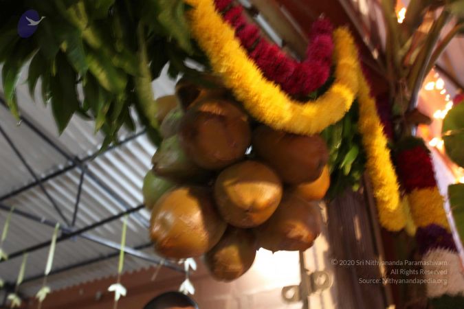 20110303 IMG 0061 CMP WM 0100.jpg