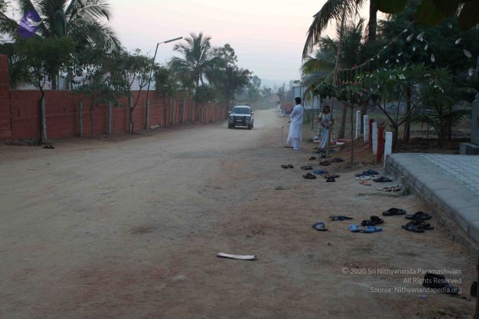 20110303 IMG 0092 CMP WM 0100.jpg