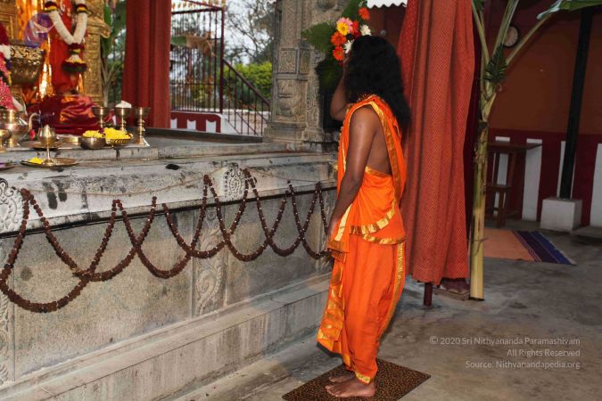 20110303 IMG 0128 CMP WM 0100.jpg