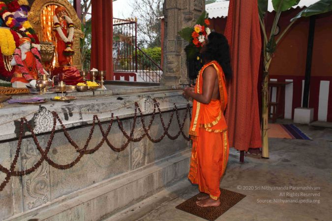 20110303 IMG 0129 CMP WM 0100.jpg