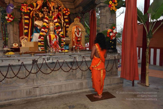 20110303 IMG 0130 CMP WM 0100.jpg