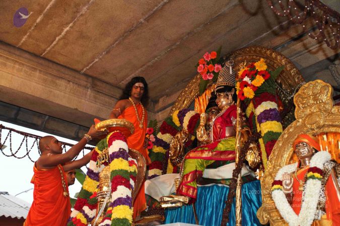 20110303 IMG 0155 CMP WM 0100.jpg