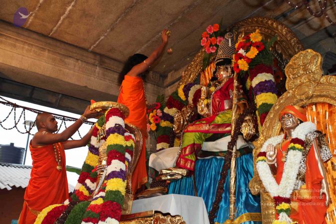 20110303 IMG 0166 CMP WM 0100.jpg