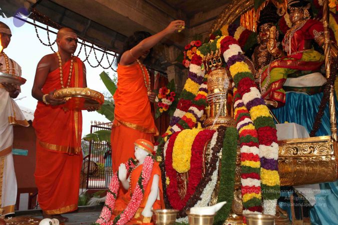 20110303 IMG 0186 CMP WM 0100.jpg