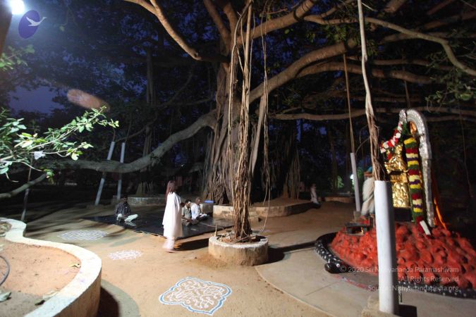 20110303 IMG 9966 CMP WM 00100.jpg