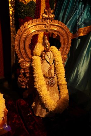 20110303 IMG 9997 CMP WM 00100.jpg