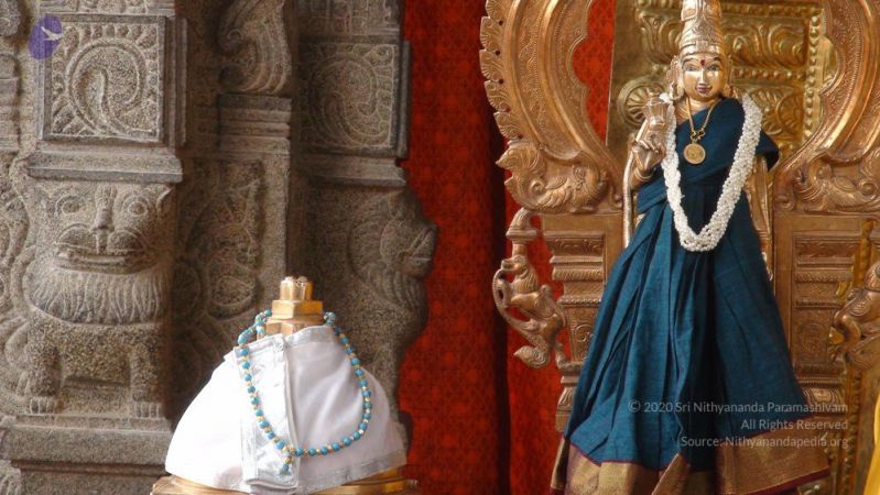 20110316 Photo 1001 1S3N8YsyT0XoP5DQv8UXfjpMHekCe69Ft.JPG