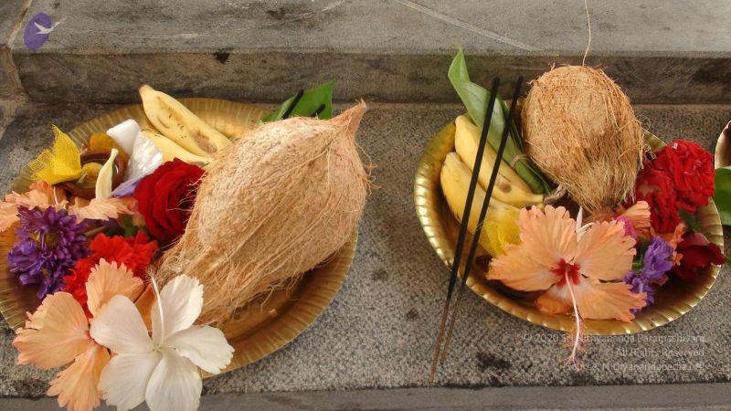 20110316 Photo 1012 1tUtFw IFQZfi4cuojJQP7IPlXJXgLqMv.JPG