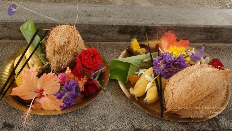 20110316 Photo 1013 1nQ0Ilg3mMqcZ7wVi7THoDRsXpRzBWtJh.JPG