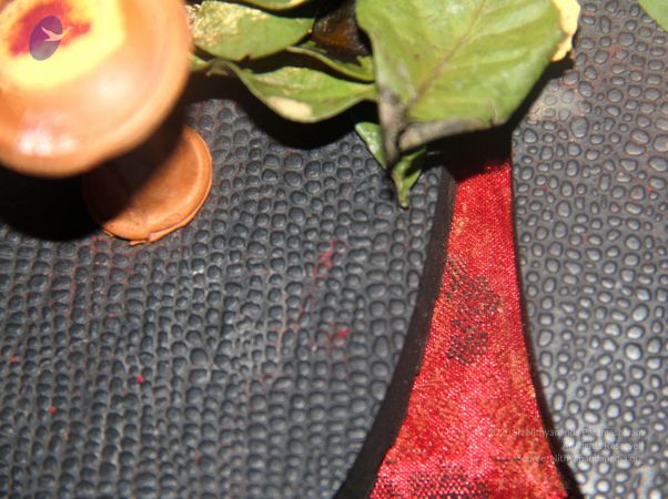 20110408 Photo 1003 1g-sEcN7eeo4mbniIIyGl 9v-l1hdDp-7.JPG