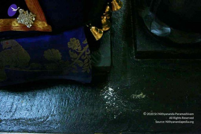 20110409 Photo 1020 1iRRQS1srabiMvwtJKRpZseSGGRTmIpSj.JPG