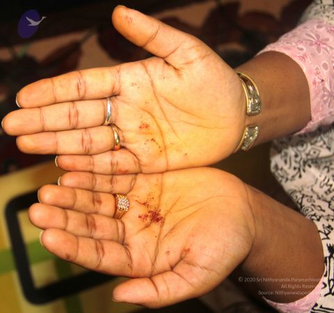 20110417 Photo 1000 1fwIj7 TnCHcgc0OaYcDdUnosiot8u4mi.JPG