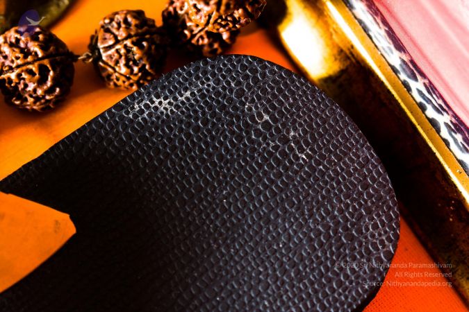 20110417 Photo 1004 1tLr7UhhLI8gjuA8Sw5pvIRoHFGDoJQYH.JPG