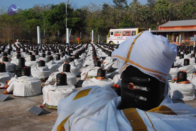 20110417 Photo 1005 1A47HUVbMhVu8Qai1JwzCdC9S4tI4wzu .JPG