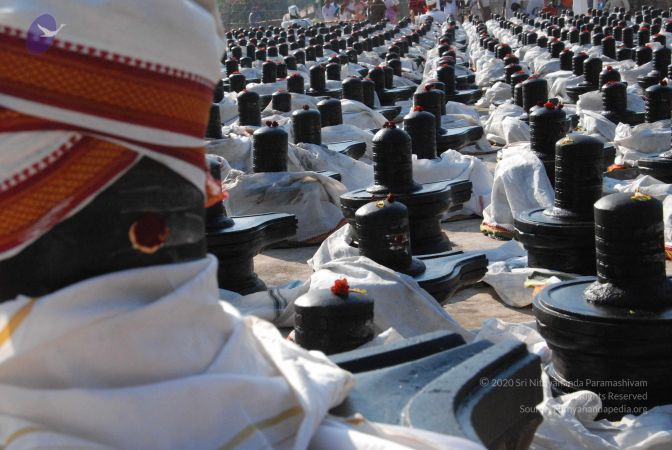 20110417 Photo 1008 1r5gFZpDw7Bbq0x2v2AWv24KN9VM5XCnq.JPG