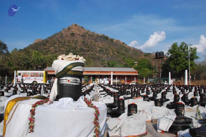 20110417 Photo 1009 1lENPvTmRa2n73lCfZQjsuH5HIIp-YHt4.JPG