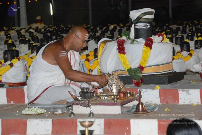 20110417 Photo 1064 1C sSOW4y6qS1XTo5tsxT5PeOxhPYIry0.JPG