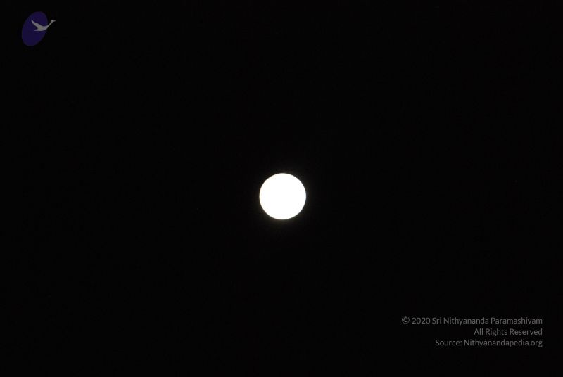 File:20110417 Photo 1082 1m7WUhHY8yUB nbj1SxIzUxhElkaT0DvI.JPG
