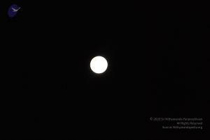 20110417 Photo 1083 1nBdzn3tMOVsvgKvOrUPILXh 7j4NIf5I.JPG
