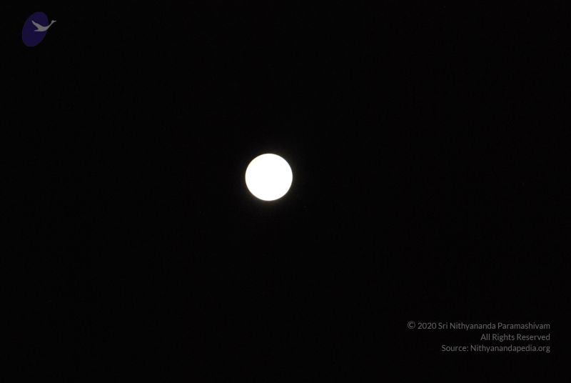 File:20110417 Photo 1083 1nBdzn3tMOVsvgKvOrUPILXh 7j4NIf5I.JPG