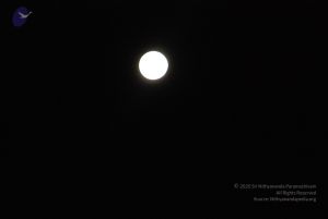 20110417 Photo 1084 1DQTZOwQPCpX59Qhw6afYuyRu4NR6lv77.JPG