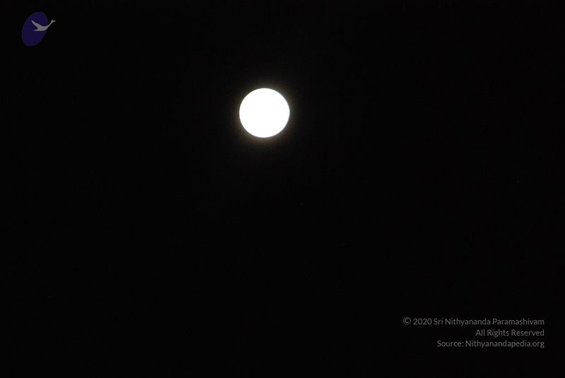 File:20110417 Photo 1084 1DQTZOwQPCpX59Qhw6afYuyRu4NR6lv77.JPG