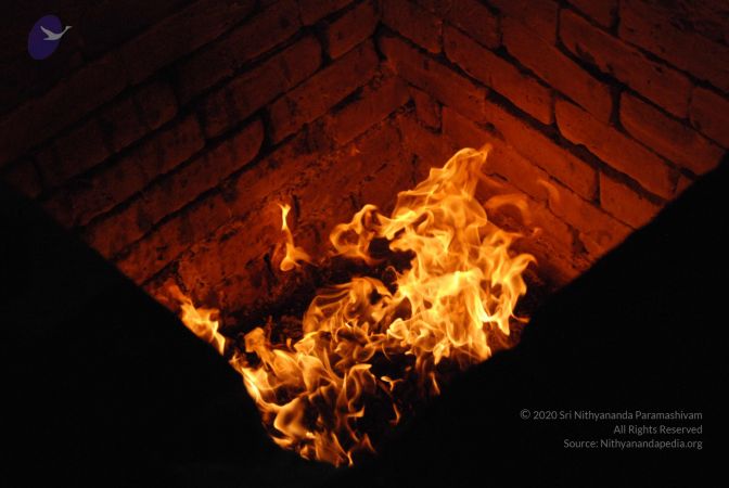 20110417 Photo 1088 1j4f-MkTV2y333TOPRI zzLWV4EdiKiYX.JPG