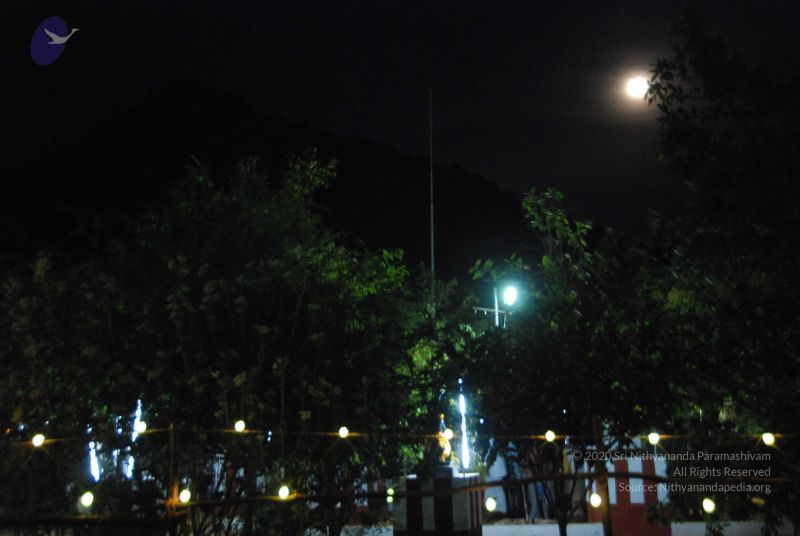 File:20110417 Photo 1145 1MZlxfufm96G6AL yHTTcDnEGv2aAZnGo.JPG